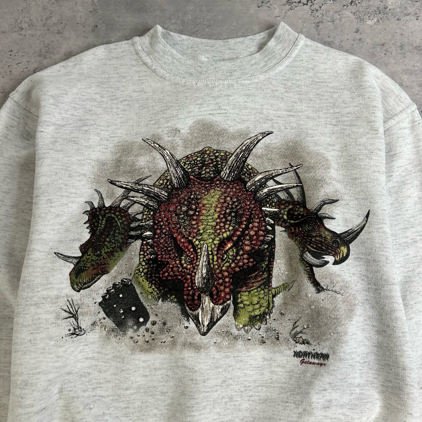 90's Triceratops Sweatshirt size Youth L